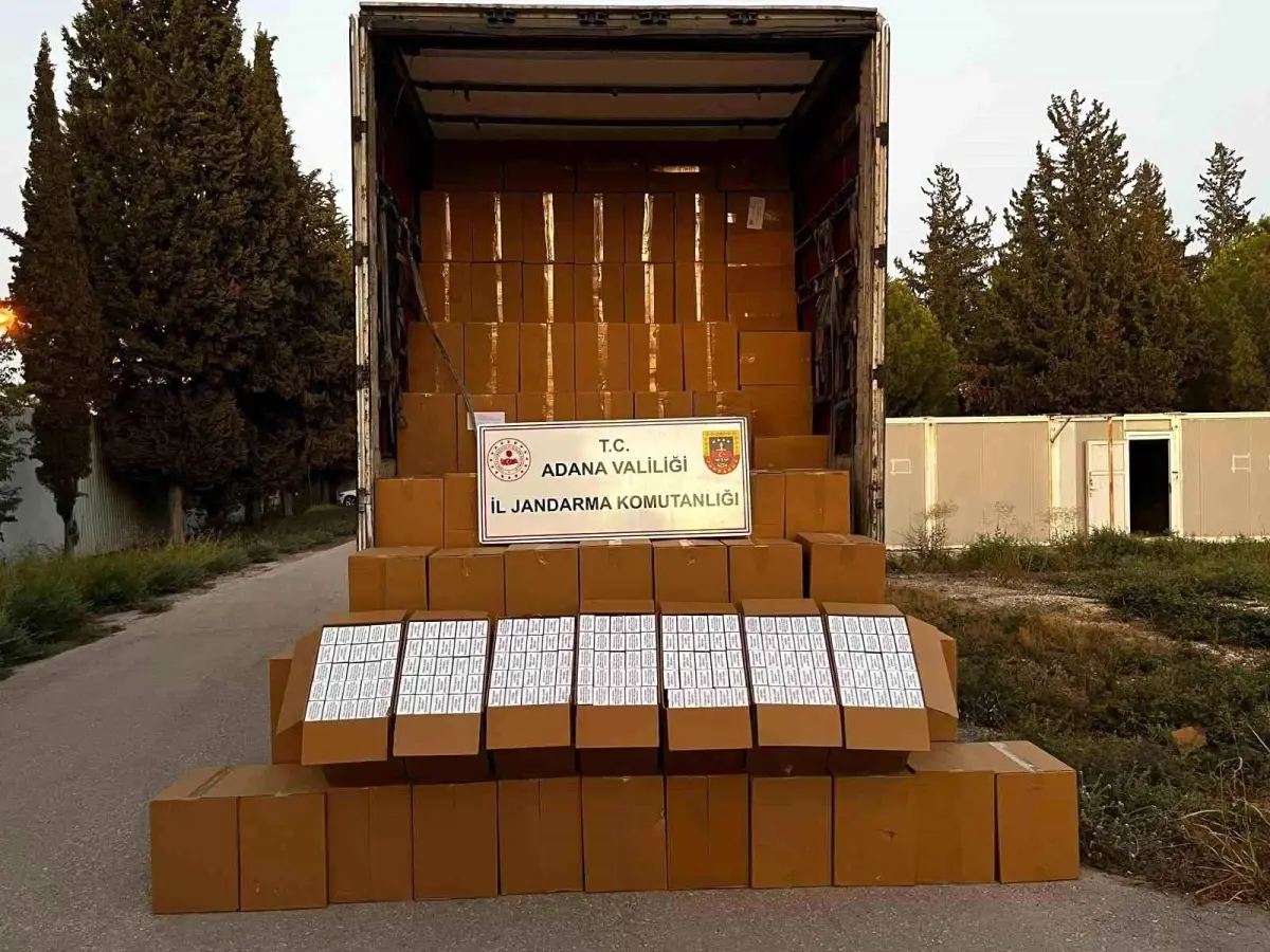 adanada 65 milyon kacak makaron ele gecirildi wIk88kdi