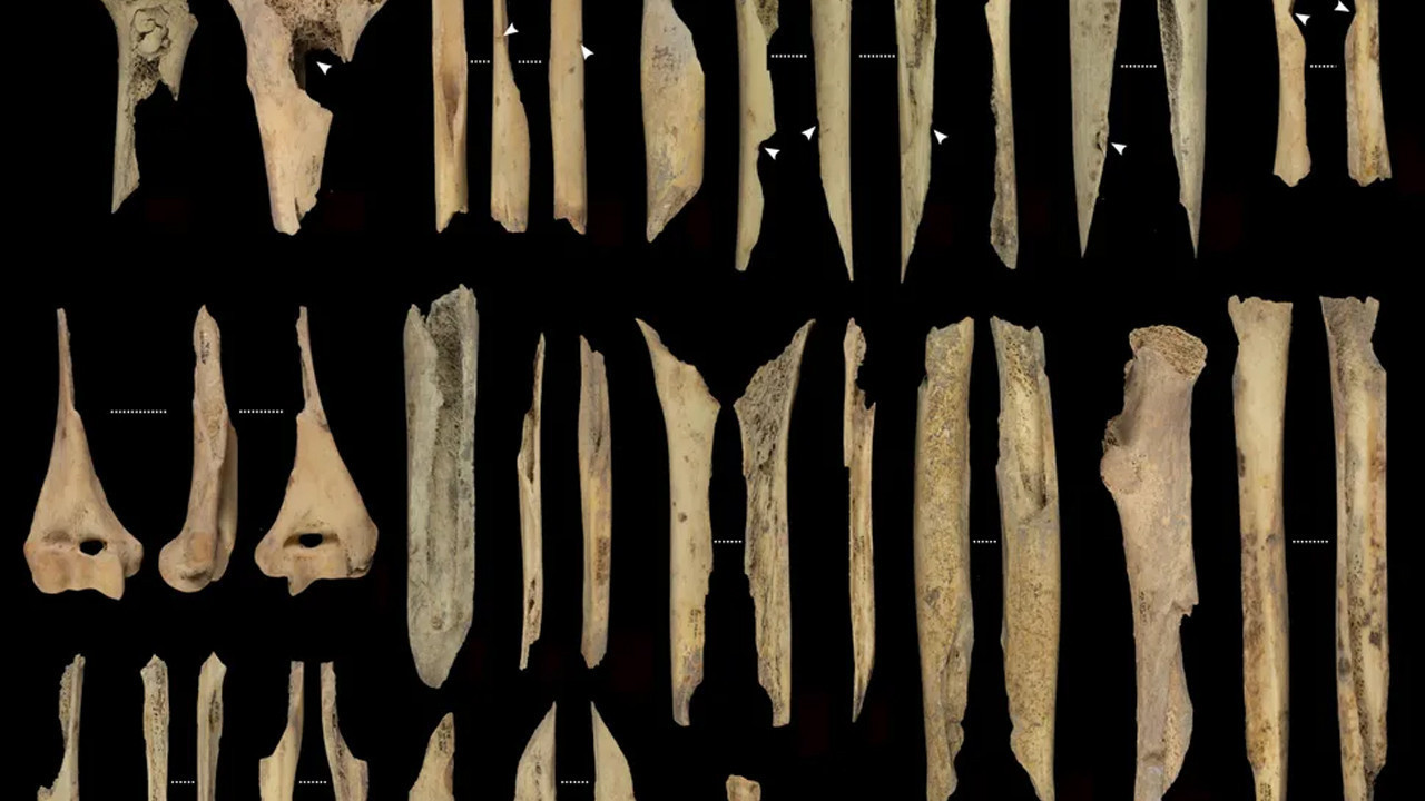 binlerce yil once yasanan barbarlik el mirador magarasinda tuyler urperten kesif a2fQSIiE