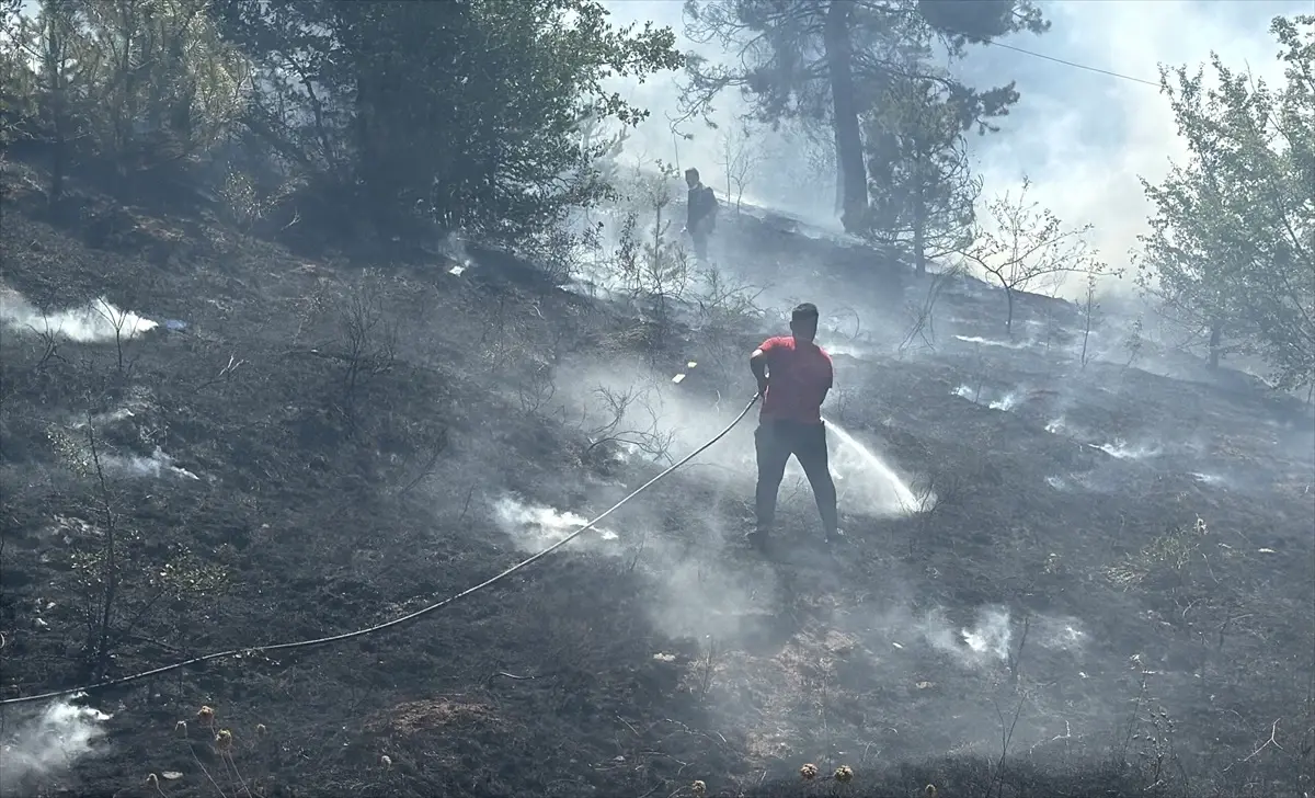 boluda orman yangini kontrol altinda tD64Iwr8