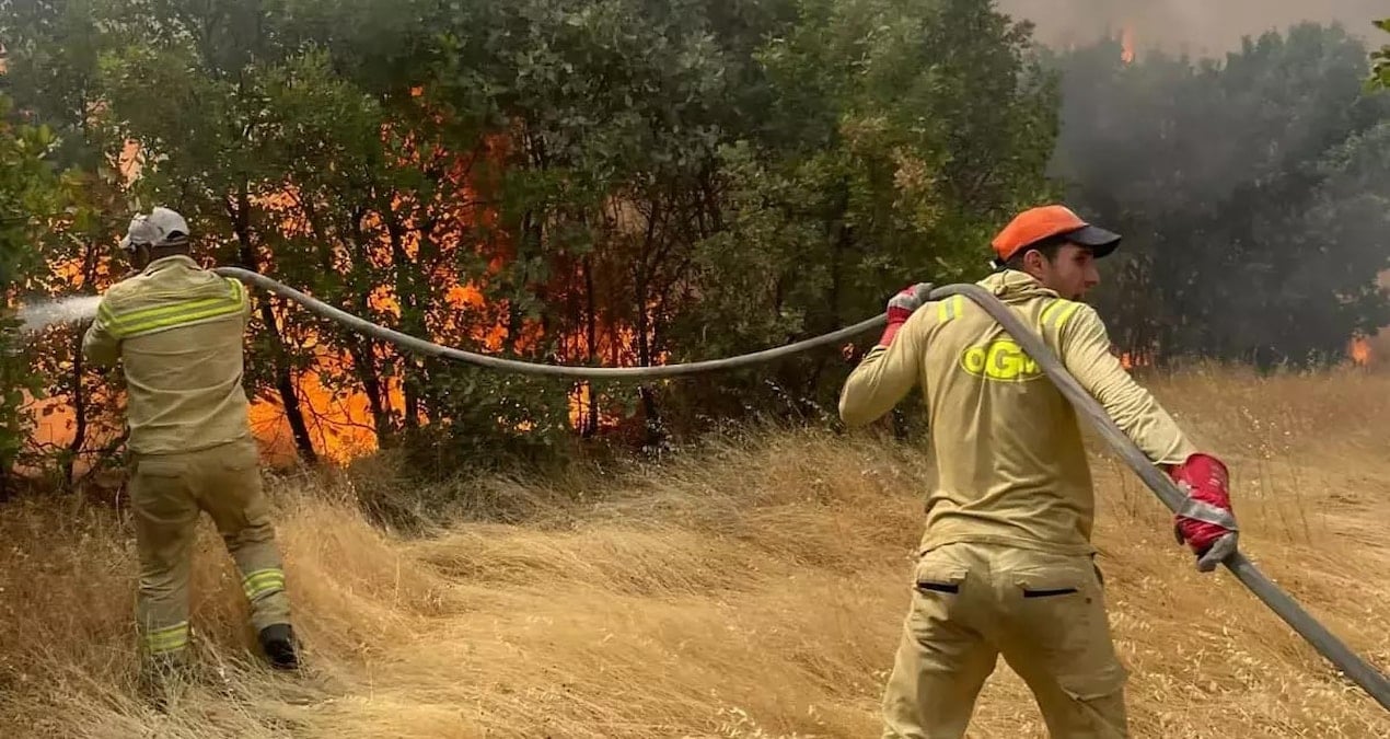 diyarbakir licede ortu yangininda 30 hektarlik alan zarar gordu GK8kTtw6