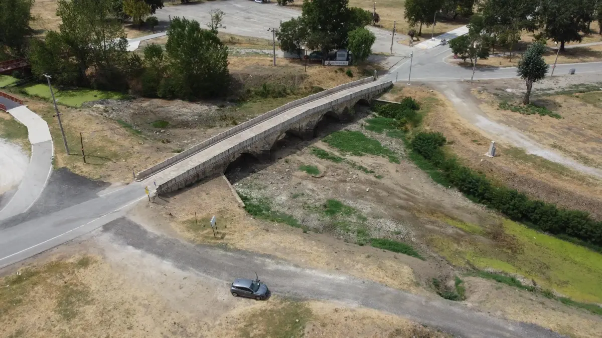 edirnede aycicegi uretimi krizde XdRevOYj