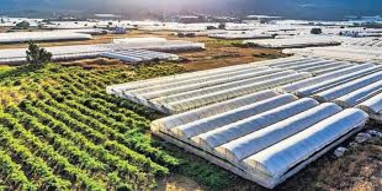 silopide tarimda donusum basladi 1000 kisiye is binlerce sofraya urun UKy9UDjr