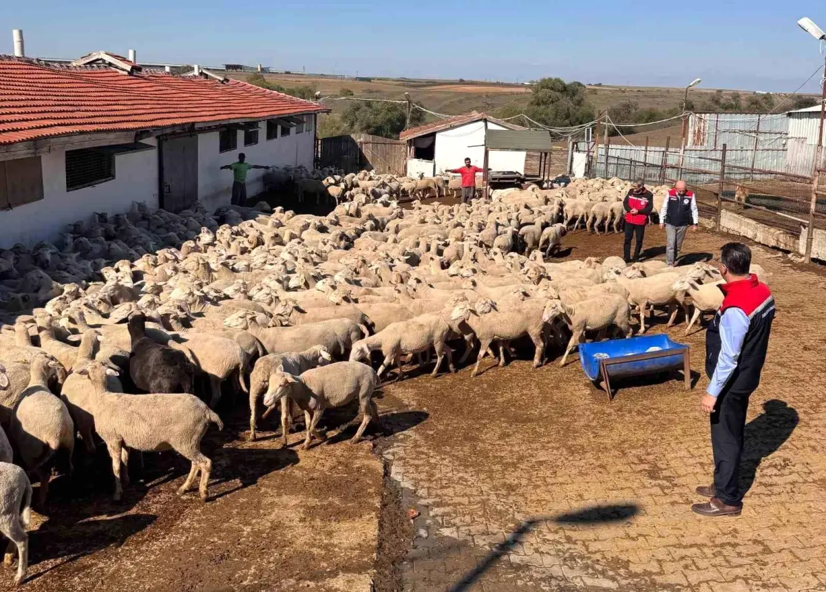 tekirdag tarim ve orman il muduru ciftcileri ziyaret etti 6yIl3NVY.jpg