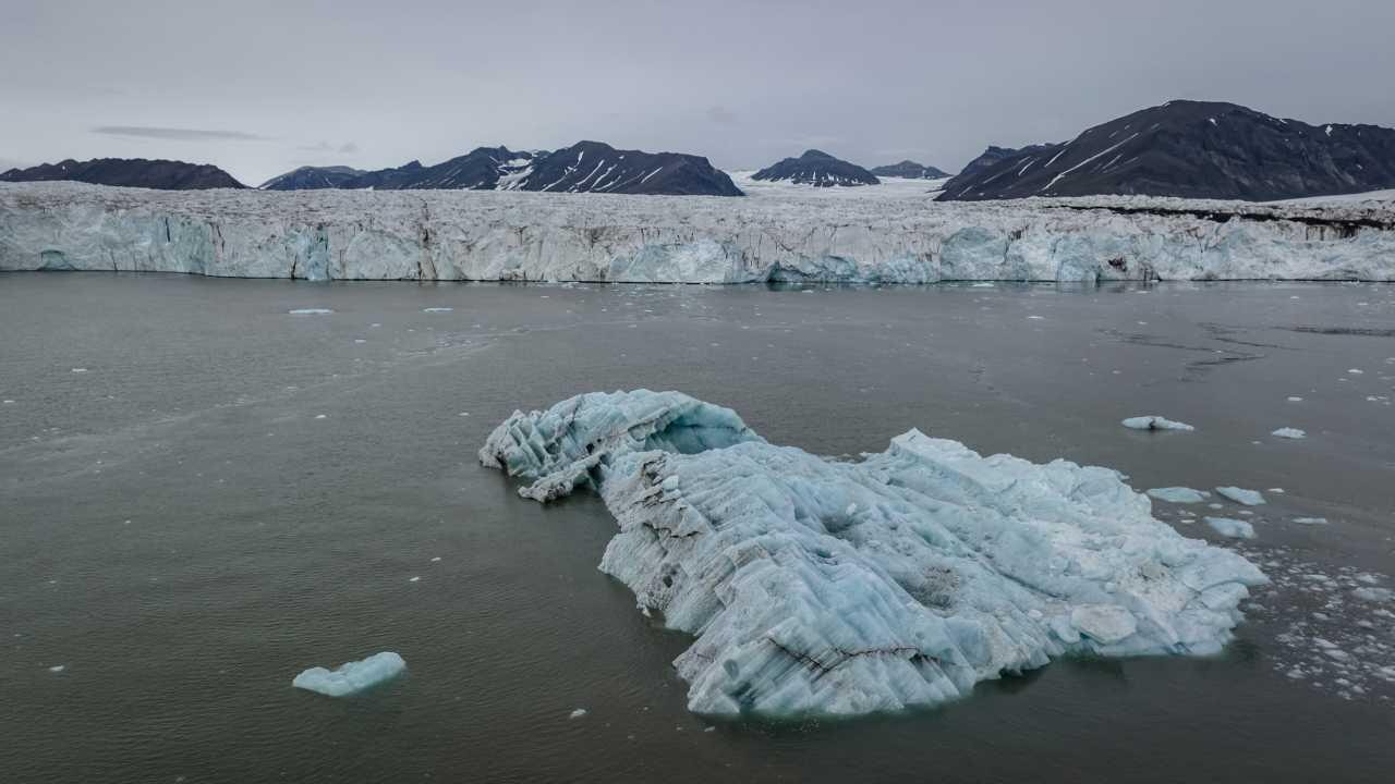 baliklarin yaptigi geometrik desenler kesfedildi FyUe9alA.webp