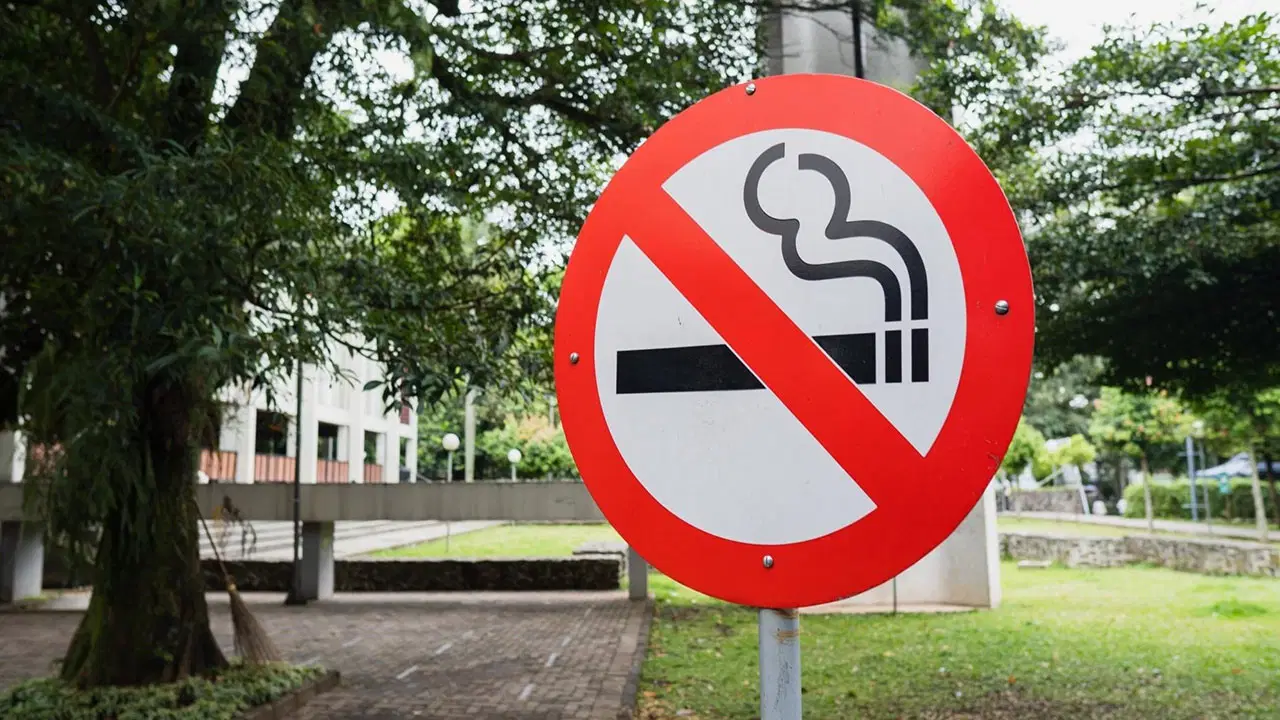 boluda cocuk parklarinda sigara icmek yasaklanacak NsxGSkje.jpg