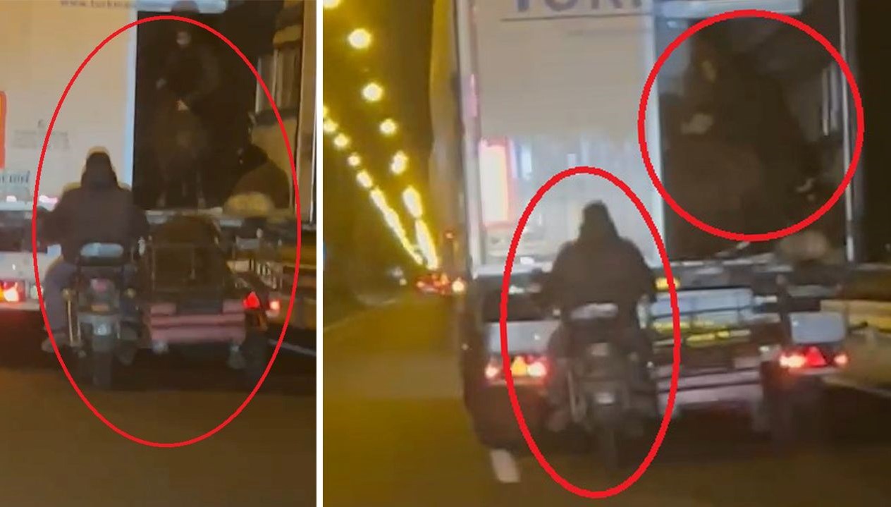 yoldaki tirdan koyun caldilar kaza yapinca hayvanlari birakip kactilar 97ig3TwO.jpg