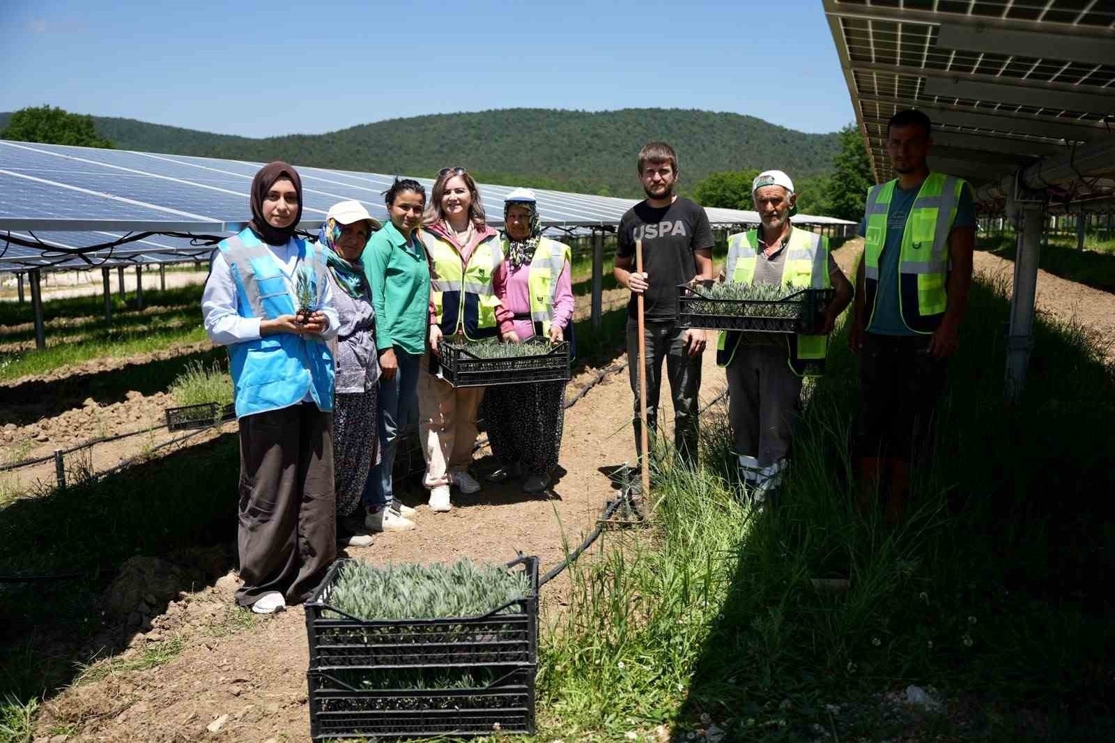 Samsun’da Yenilikçi GES ile Tarımda Dönüşüm